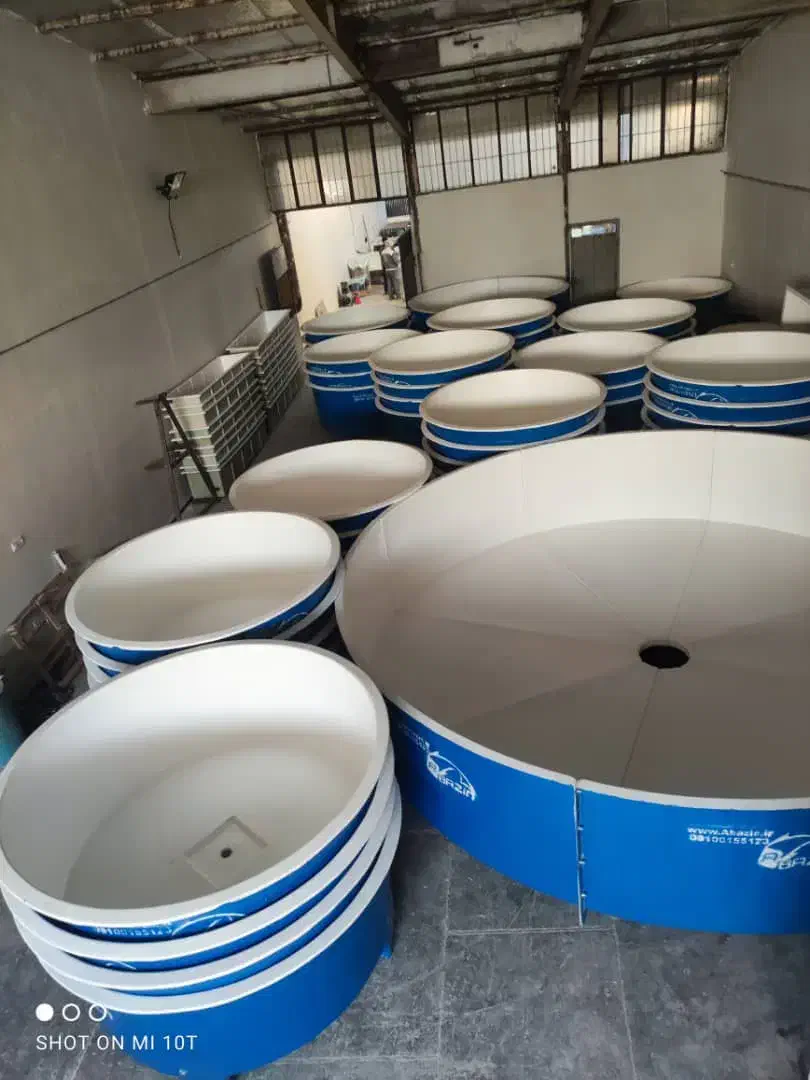 بچه ماهی کپور طلایی اصلاح شده و تجهیزات شیلات|ماهی|قم, انسجام|دیوار