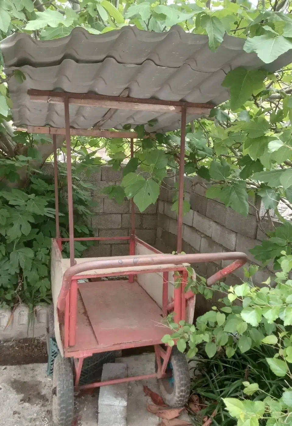 گاری|ابزارآلات|چالوس, |دیوار