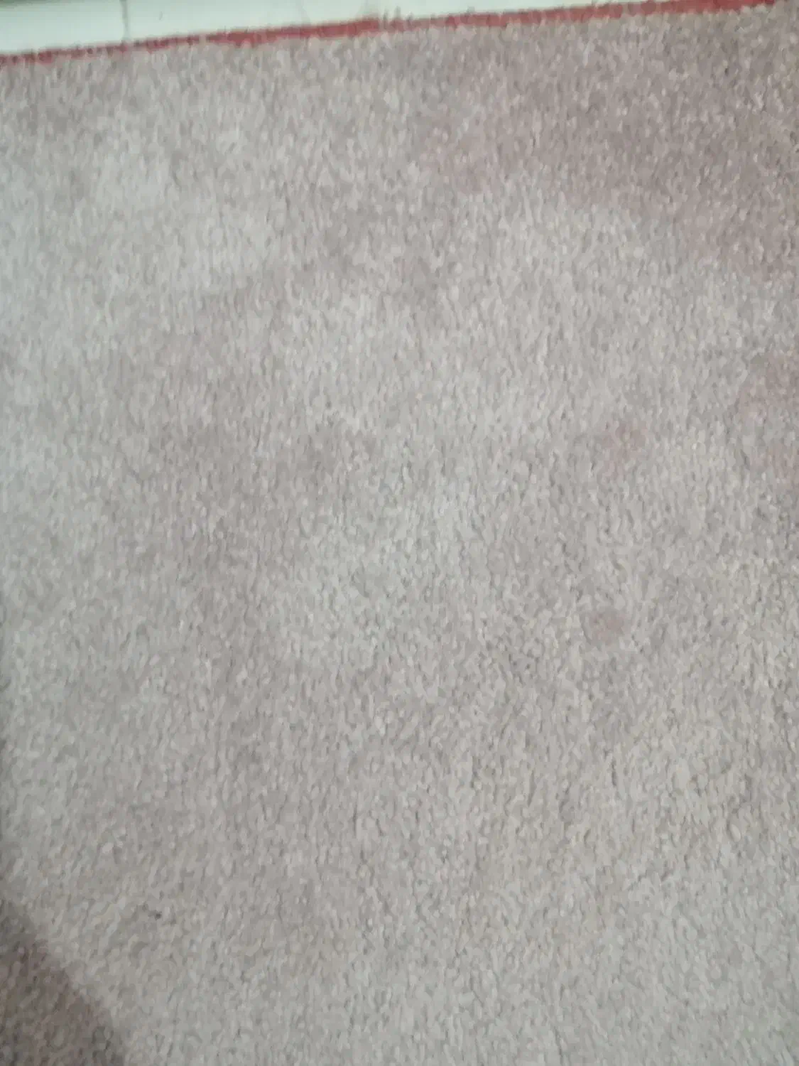 پالازموکت درحدنو|موکت|قزوین, |دیوار