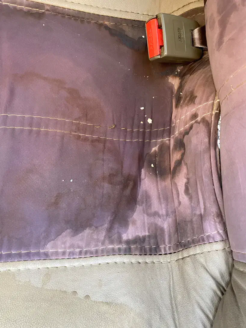 مبل شوی و تو شویی خودرو|خدمات نظافت|گرگان, |دیوار