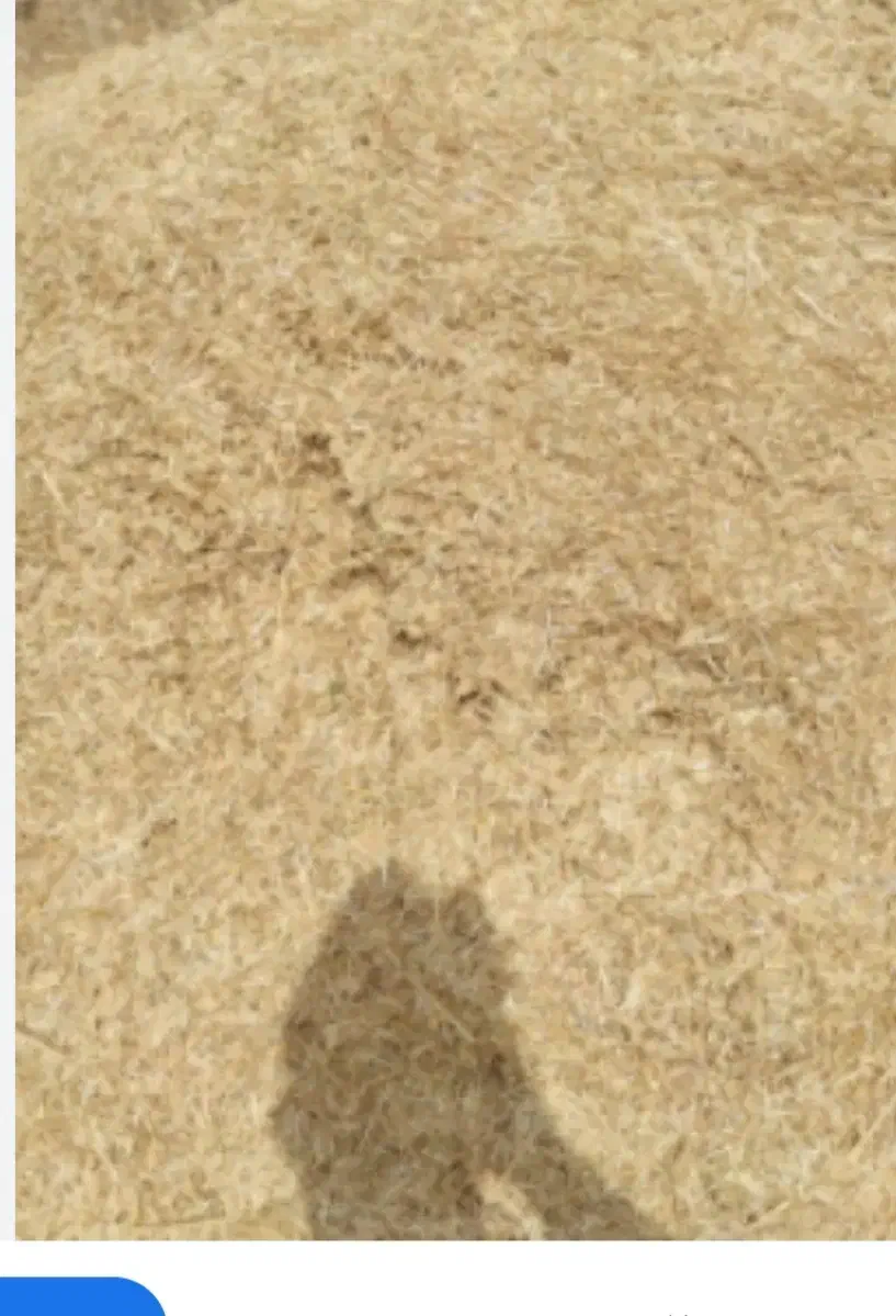 کاه سفید|لوازم جانبی حیوانات|کیار, |دیوار