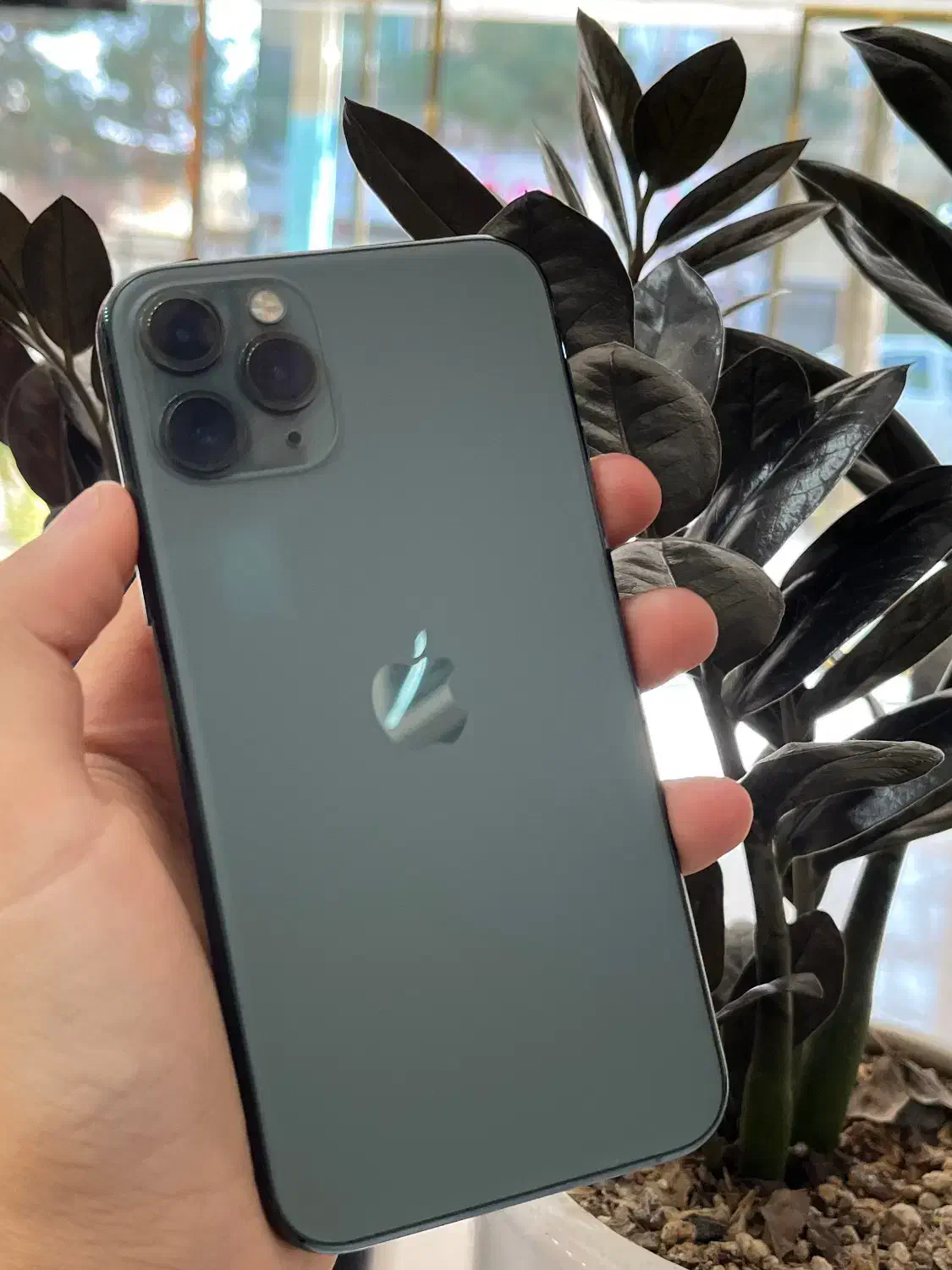 ۱۱ پرو|موبایل|تربت جام, تیپ ۳۸ زرهی تربت جام|دیوار