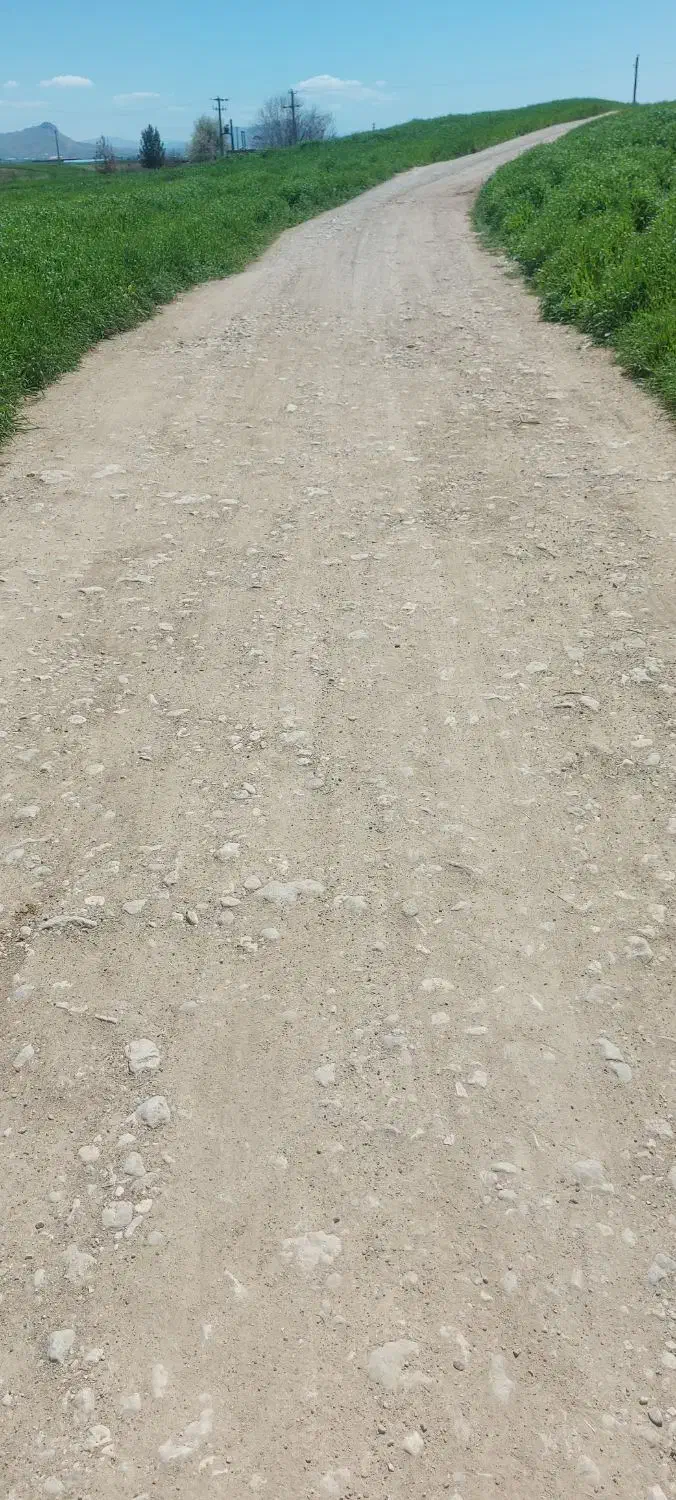 2000 متر جاده اولادقباد چیا گندم|فروش زمین و ملک کلنگی|کوهدشت, |دیوار