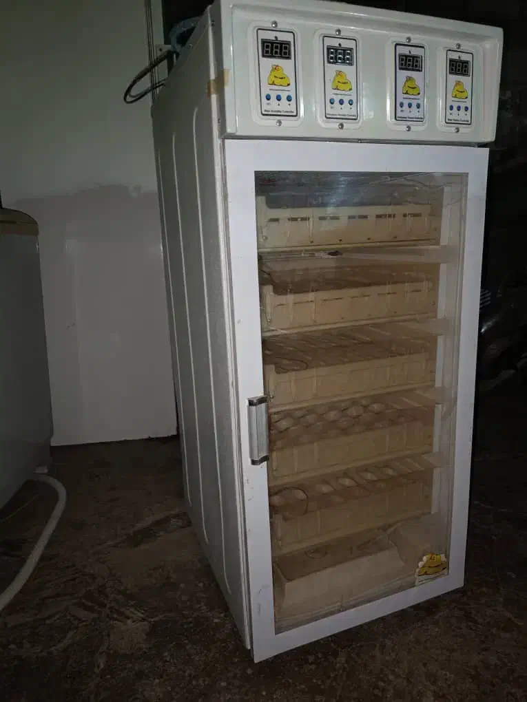 دستگاه جوجه کشی|ماشینآلات صنعتی|یاسوج, |دیوار