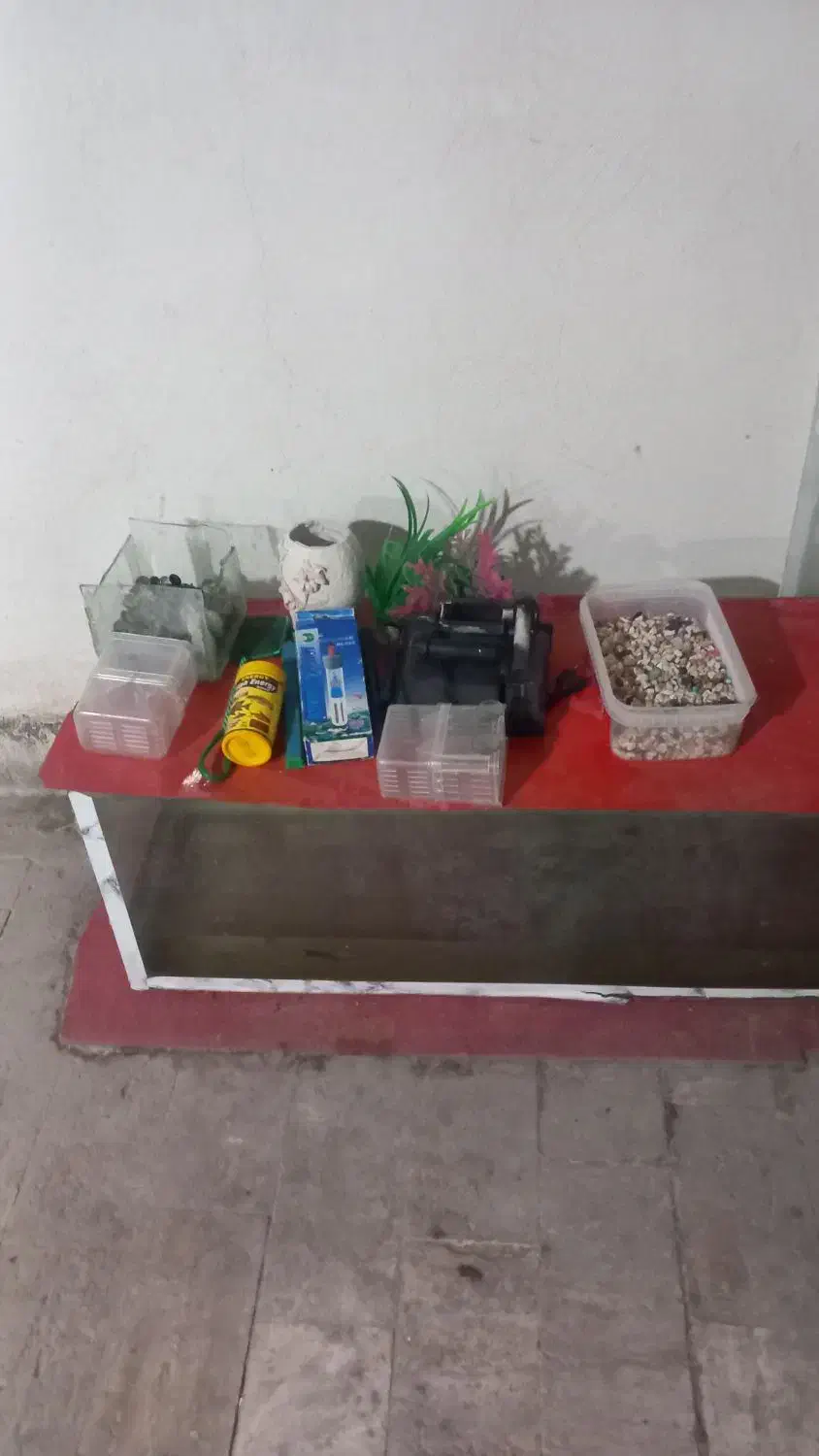 آکواریم کلبه ای و آکواریم بزرگ  ماهی فوری فوری|ماهی|قم, شهرک مهدیه (مدرس)|دیوار