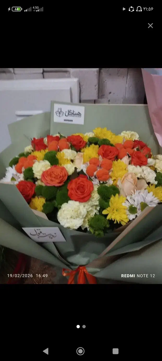 کل دارم چ گلی|گل و گیاه طبیعی|ملایر, |دیوار