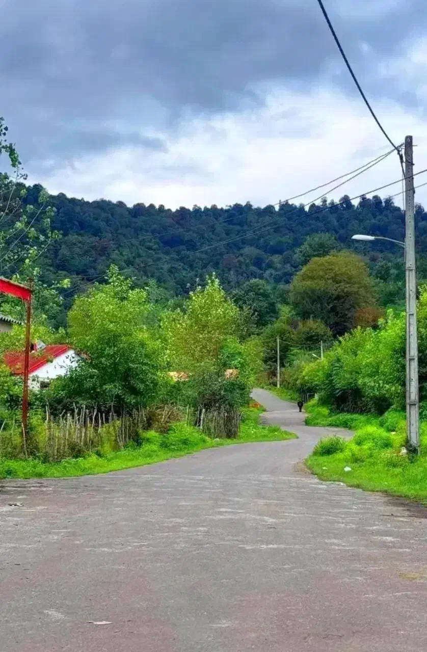 250مترویلا مدرن نوساز کوهپایه جنگلی|فروش خانه و ویلا|فومن, |دیوار