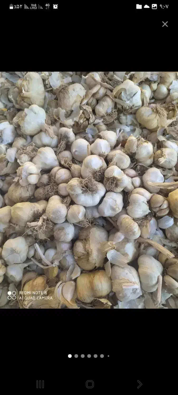 سیر|خوردنی و آشامیدنی|اشترینان, |دیوار