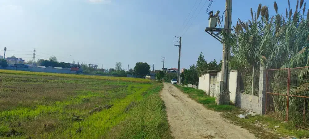 زمین کشاورزی|فروش زمین و ملک کلنگی|امیرکلا, |دیوار