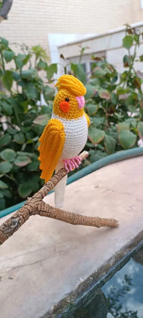 عروسک عروس هلندی|اسباببازی بچه|یزد, |دیوار