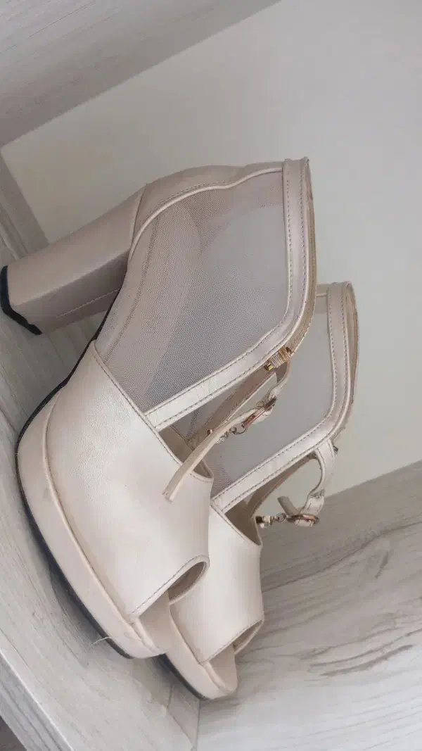 کیف کفش|کیف، کفش، کمربند|سبزوار, پاسداران|دیوار