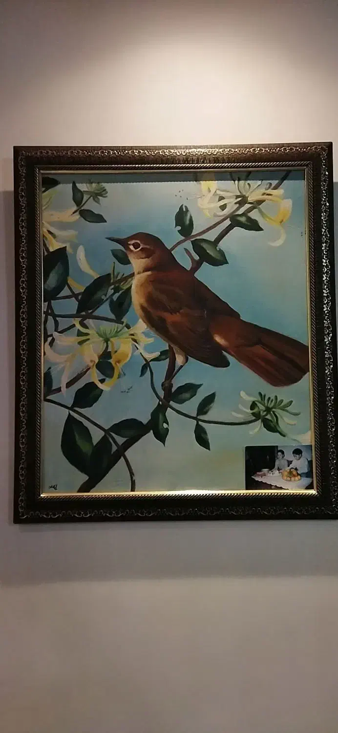 نقاشی . رنگ و روغن . کبوتر|تابلو، نقاشی، عکس|رشت, رشتیان|دیوار