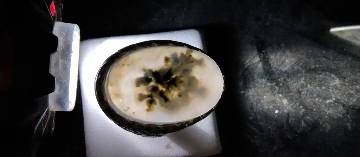 انگشتر نقره دست ساز کلکسیونی طلا پاش|جواهرات|شیراز, شاپورجان|دیوار