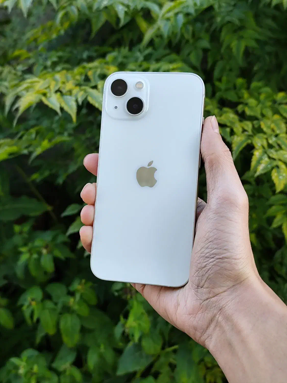 کارکرده تمیز ایفون 13 درحد|موبایل|بندر ترکمن, |دیوار