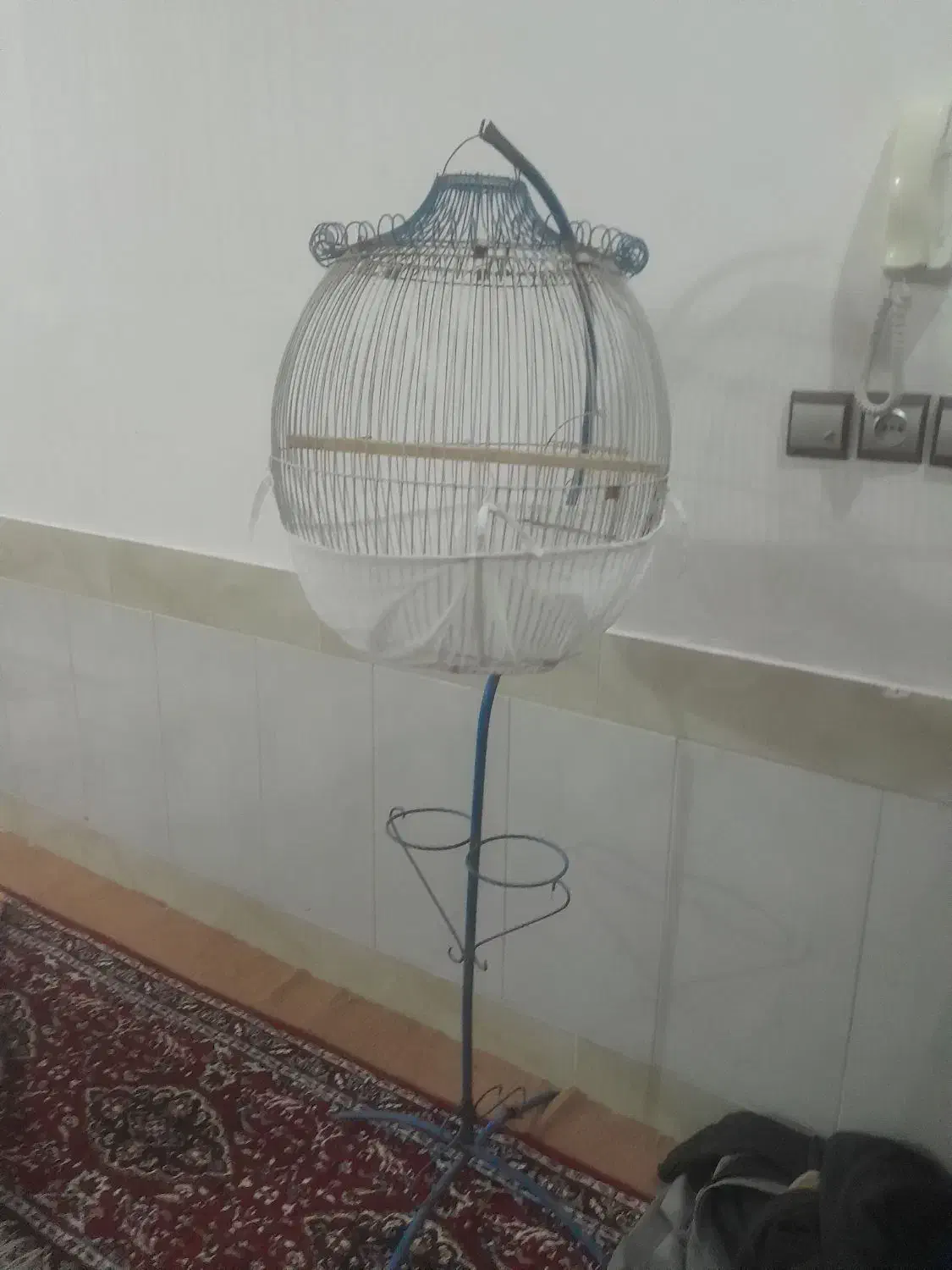 قفس گرد|لوازم جانبی حیوانات|تربت‌حیدریه, پارک پرستار|دیوار