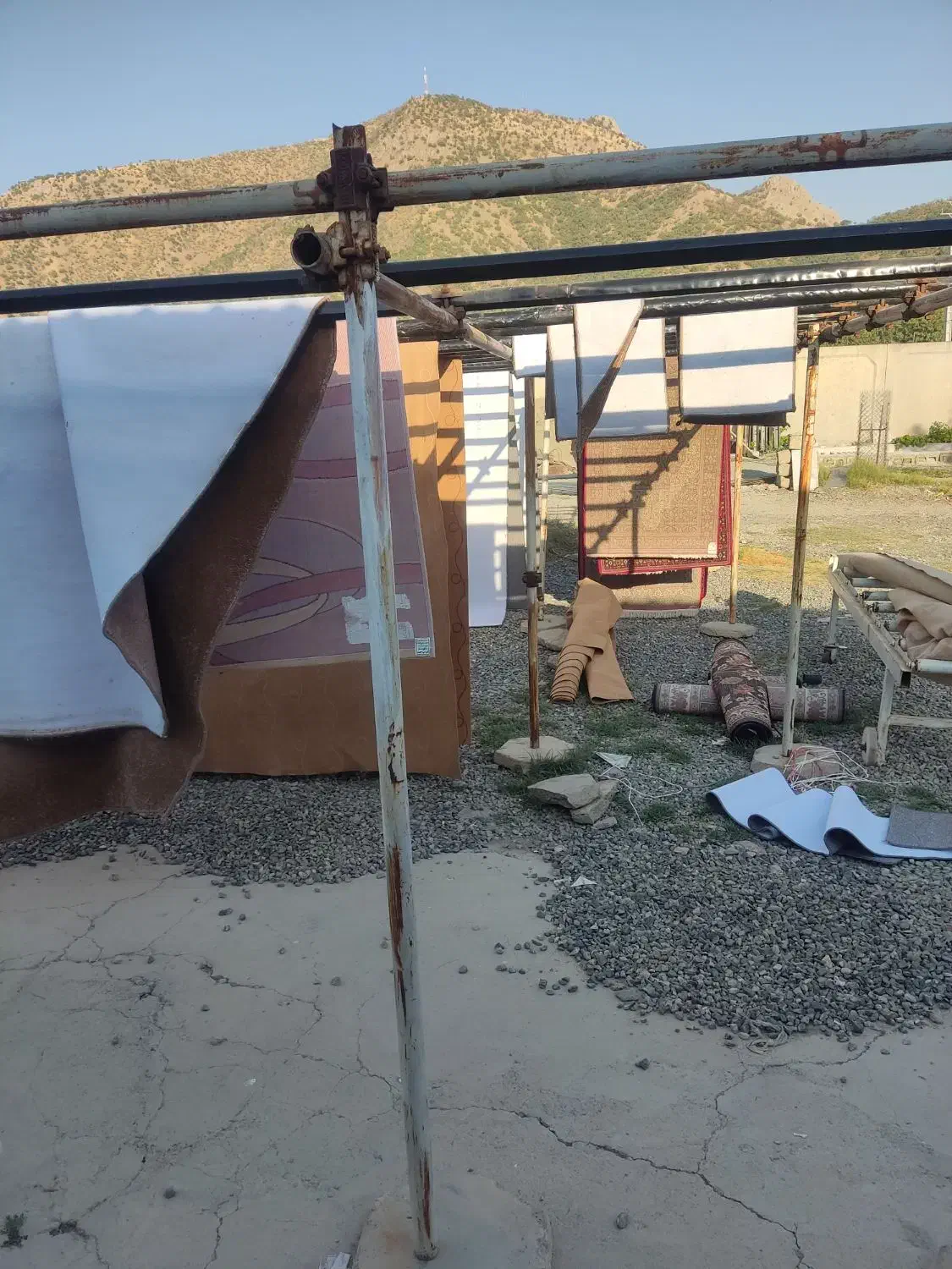 قالیشویی باوان|خدمات نظافت|مریوان, |دیوار