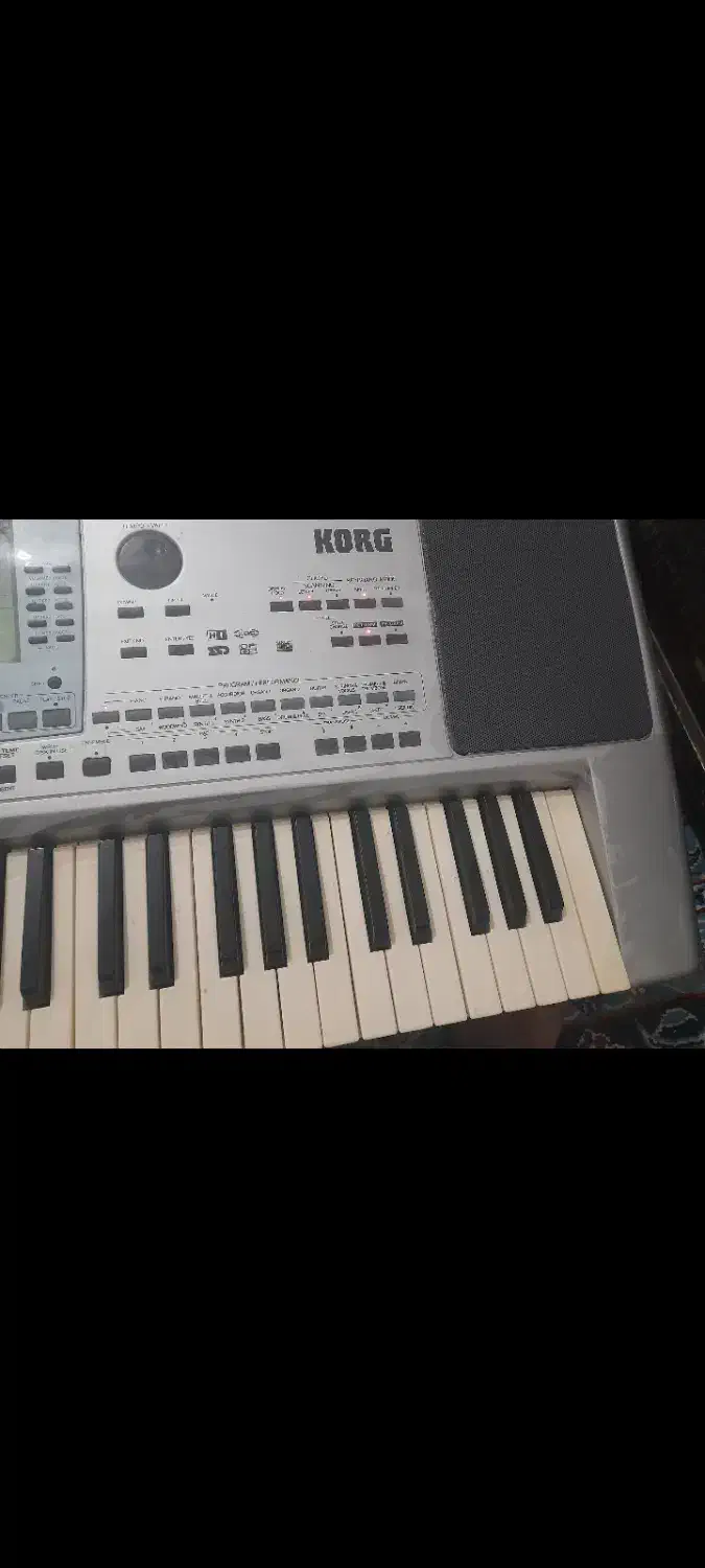 ارگ pa50 تضمیمی|پیانو، کیبورد، آکاردئون|چورزق, |دیوار