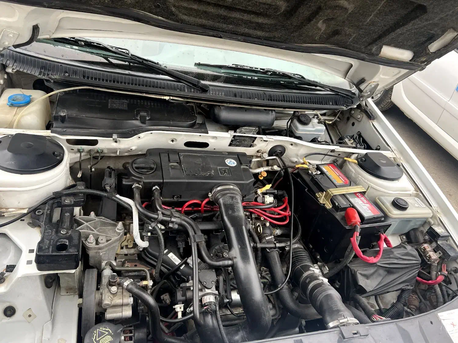 پرشیا بی رنگ|خودرو سواری و وانت|پارسآباد, |دیوار