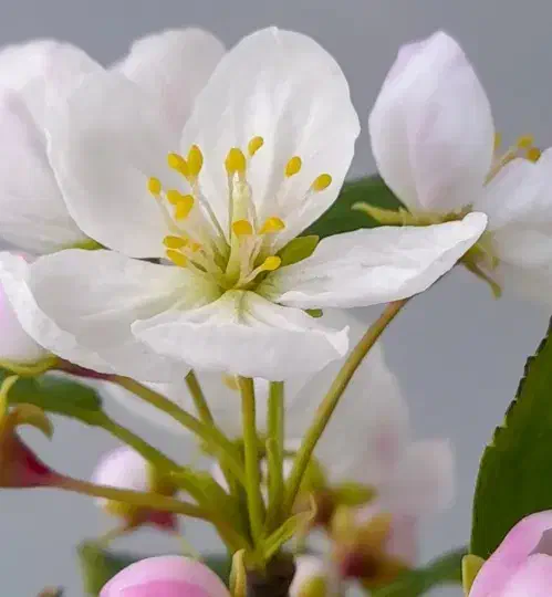 آموزش و فروش گل دست‌ساز منعطف همیشه جاودان|گل مصنوعی|نجف‌آباد, ویلاشهر|دیوار