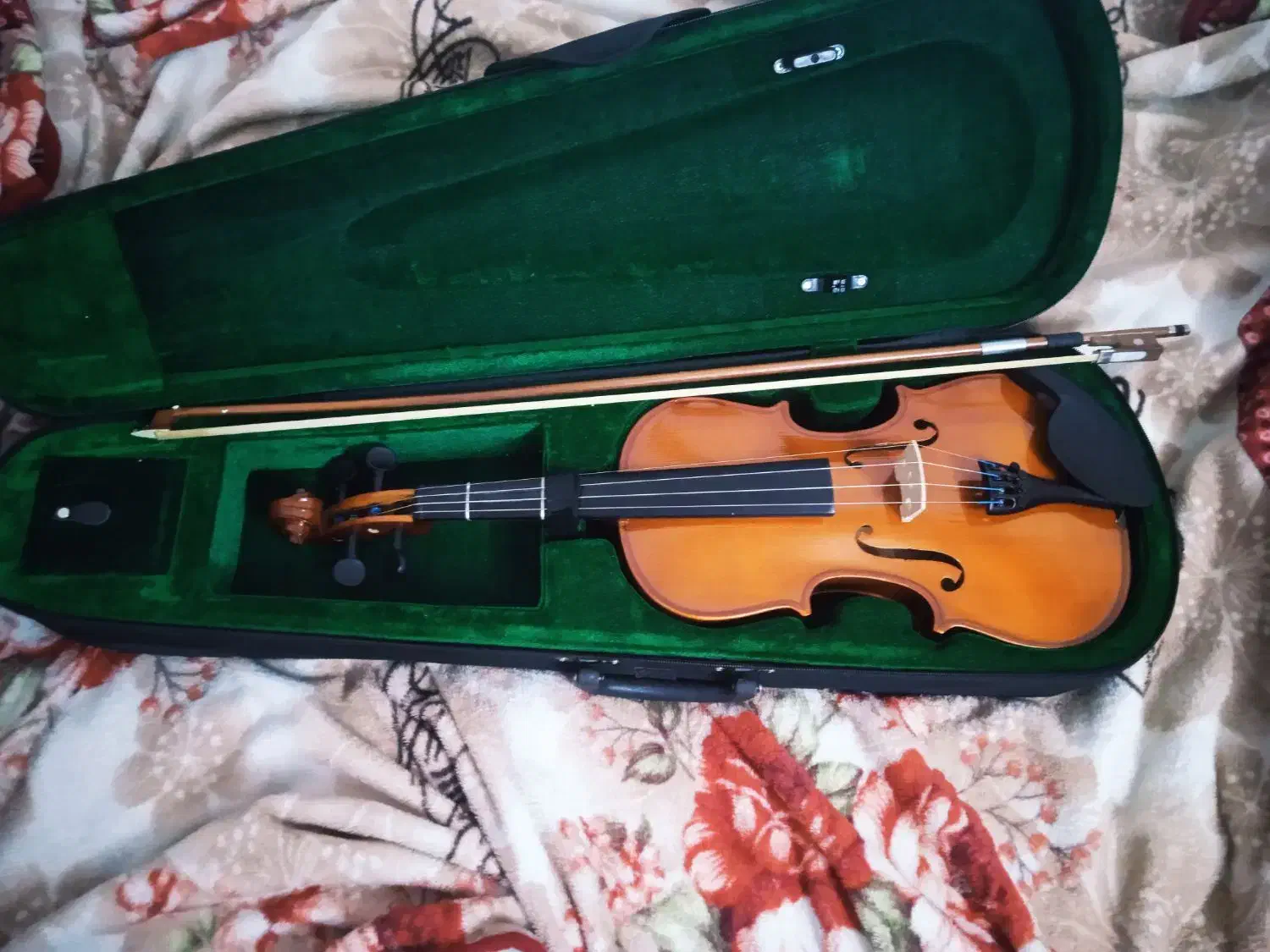 سلام وییلون فروشی|ویولن|داراب, |دیوار