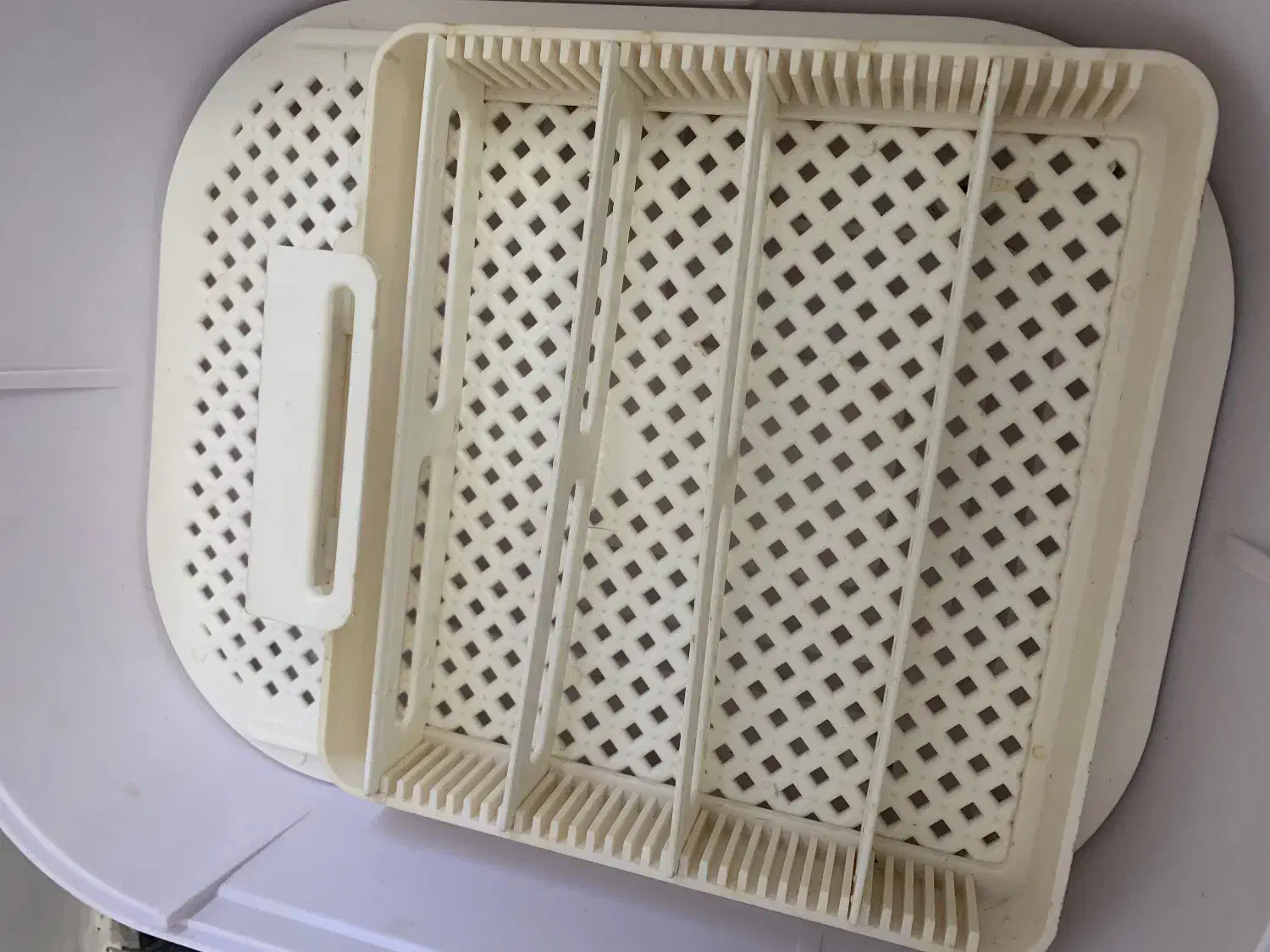 دستگاه جوجه کشی|لوازم جانبی حیوانات|دورود, |دیوار