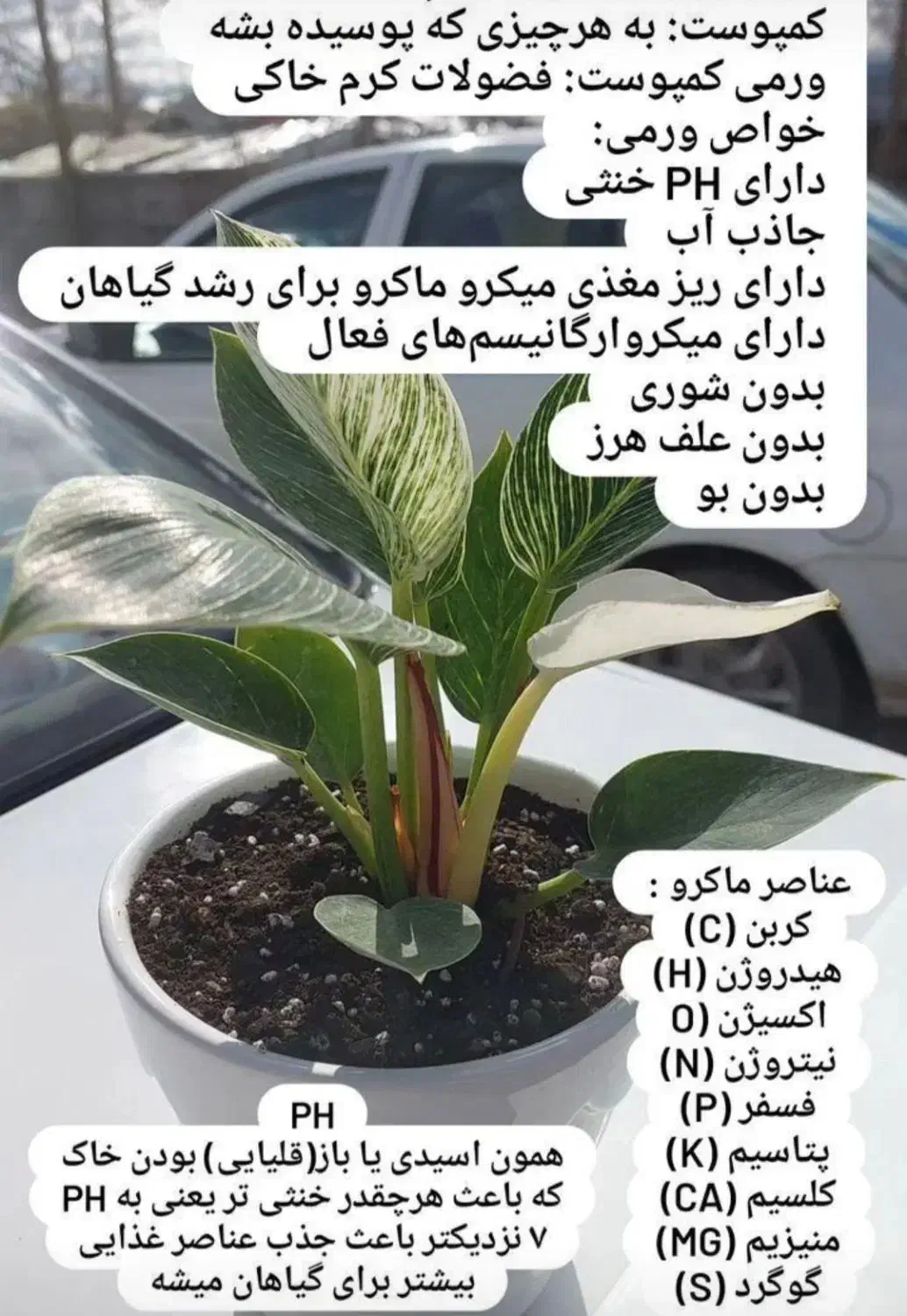 کود  ورمی کمپوست ارگانیک با کیفیت و ارزان|عمده‌فروشی|شیراز, شهرک فرهنگیان|دیوار
