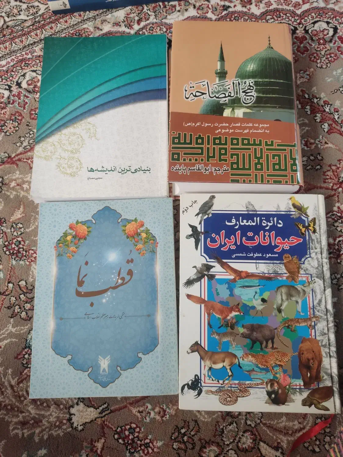 کتاب|کتاب و مجله تاریخی|الشتر, |دیوار