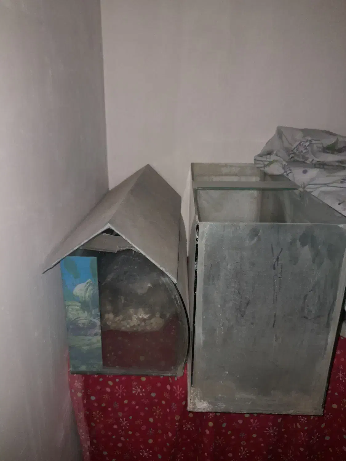 آکواریوم|ماهی|بیرجند, |دیوار