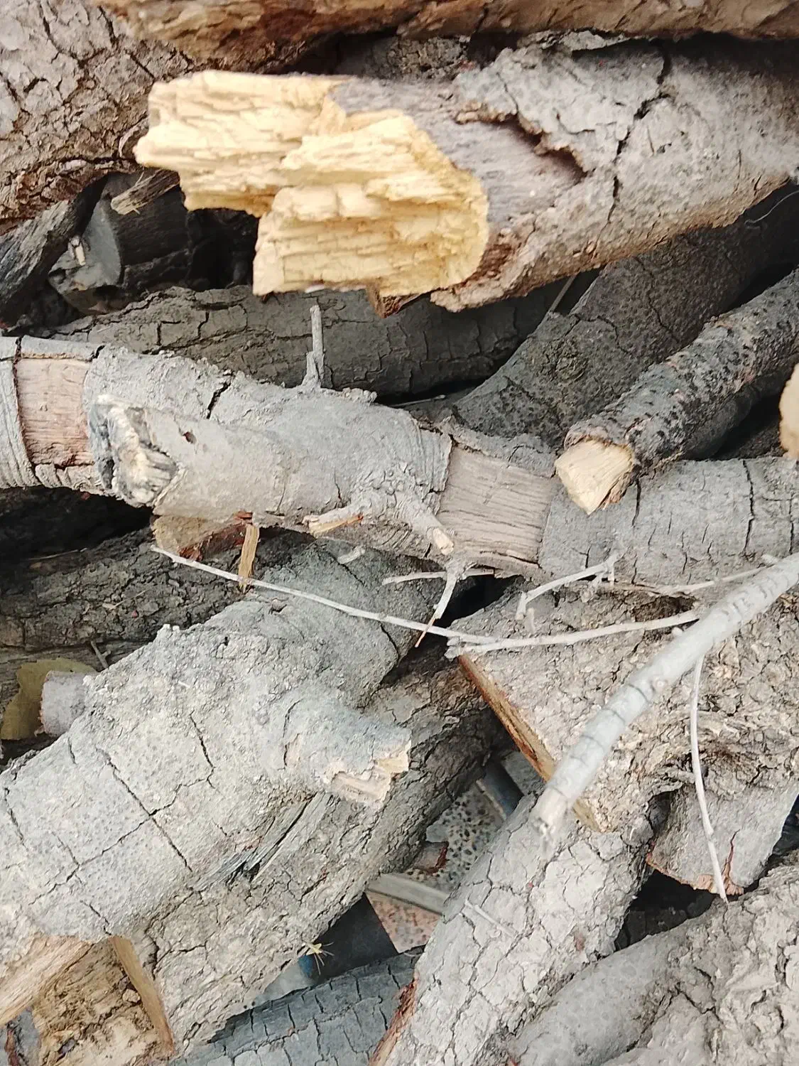 چنتا گونی هیمه دار فروشی گونی میفروشم|حراج|لردگان, |دیوار