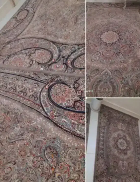 فرش|فرش|وحیدیه, |دیوار