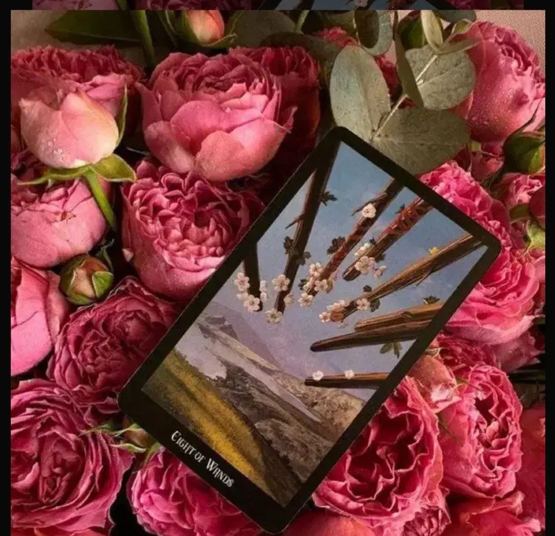 فال تاروت به صورت شهودی|خدمات پذیرایی، مراسم|مشهد, شهرک ابوذر|دیوار