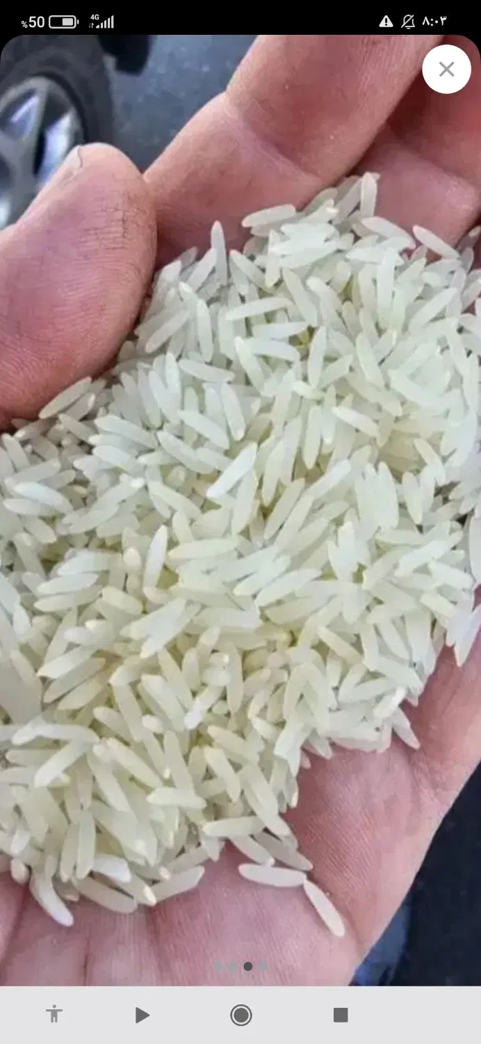 برنج|خوردنی و آشامیدنی|ایلام, |دیوار