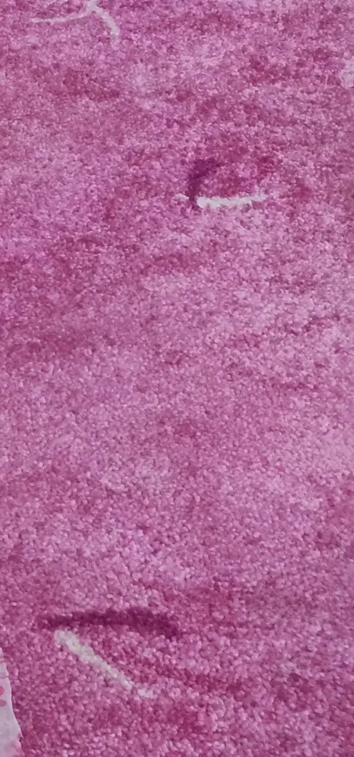 موکت پرز بلند|موکت|بیرجند, |دیوار