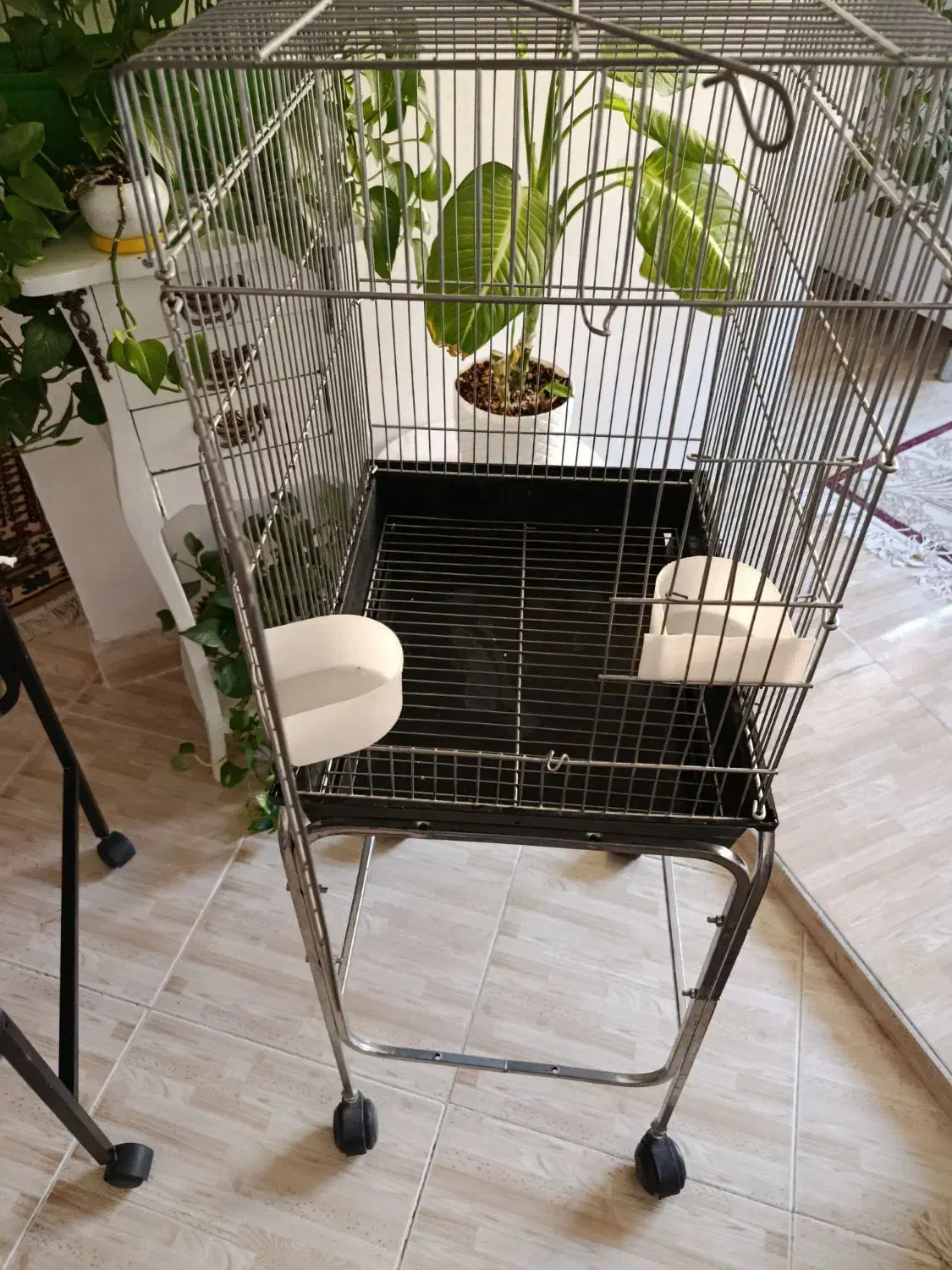 قفس|لوازم جانبی حیوانات|گلبهار, شهر جدید گلبهار|دیوار