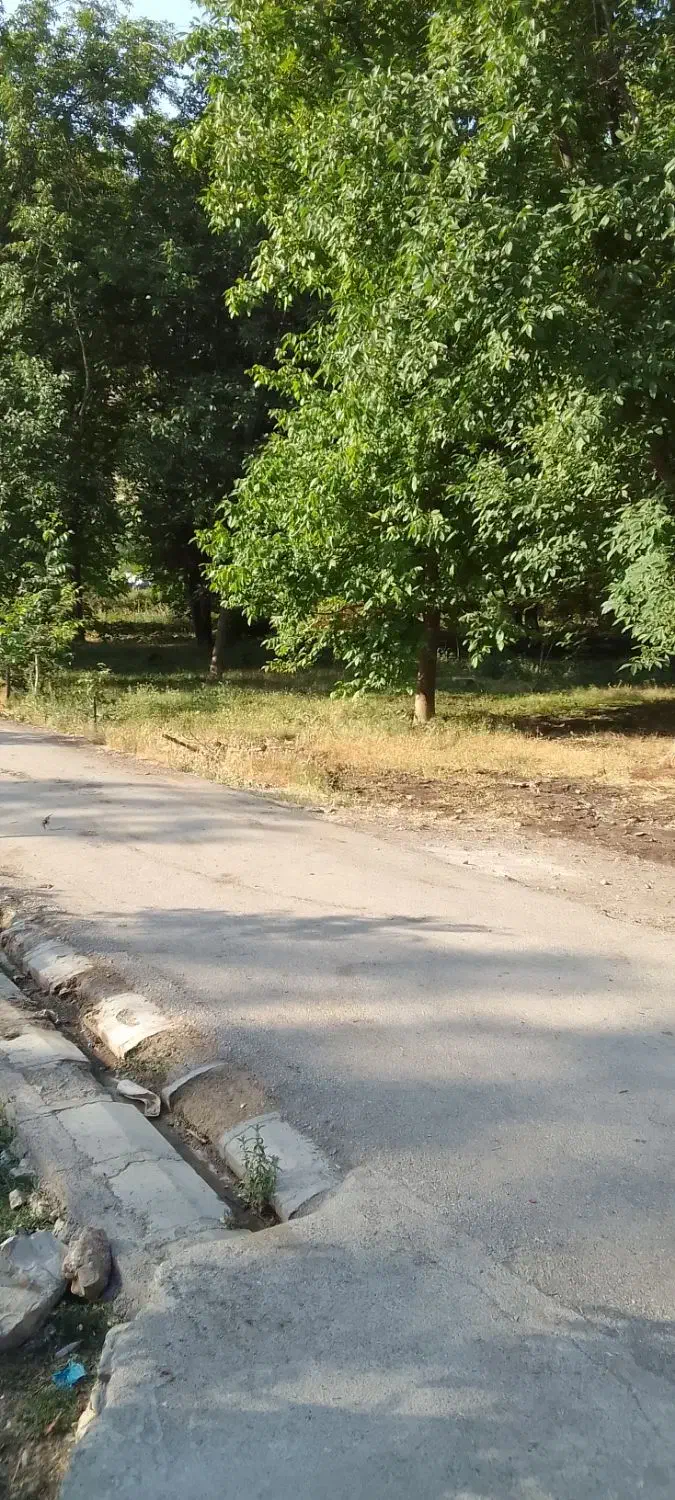 سوئیت اجاره ای در الشتر|اجارهٔ کوتاهمدت آپارتمان و سوئیت|الشتر, |دیوار