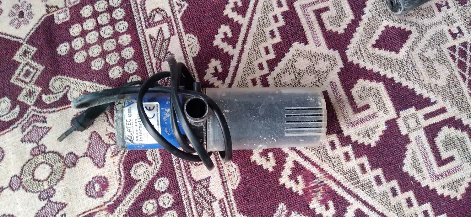 وسایل اکواریوم|ماهی|خوی, |دیوار