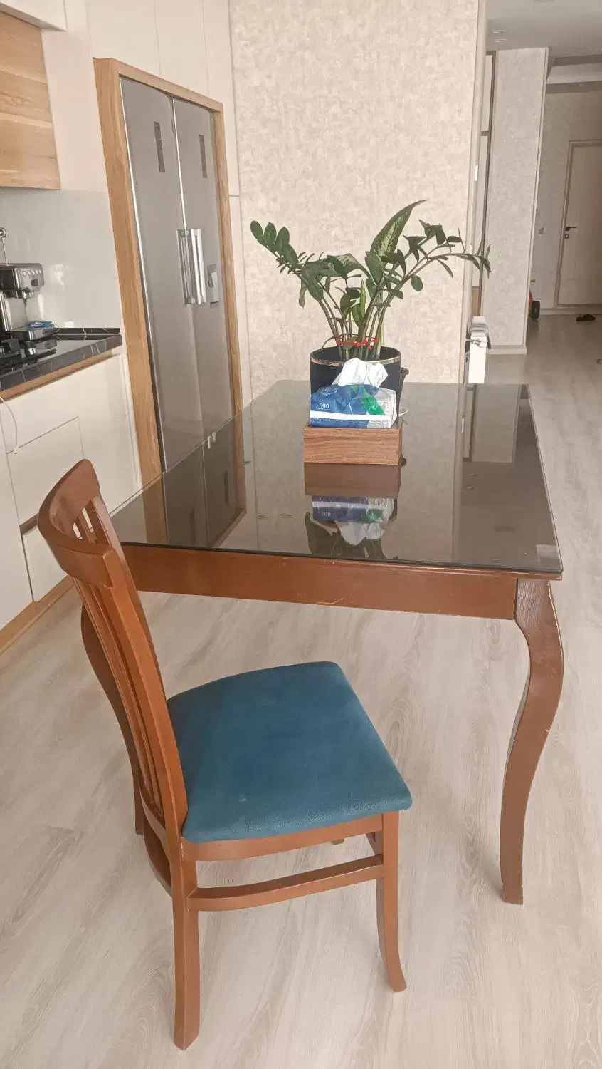 میز ناهارخوری|میز و صندلی غذاخوری|گرگان, |دیوار