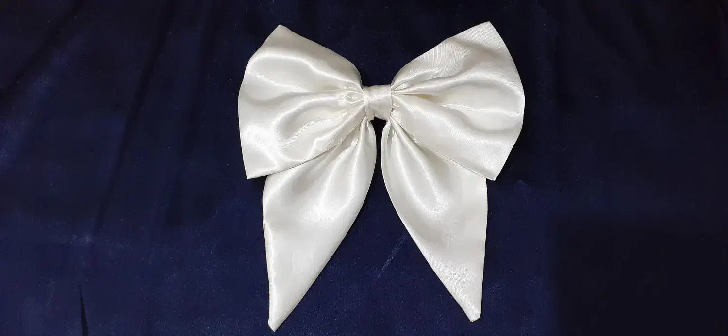 فروش تک و عمده گیره‌موی پاپیونی|زیورآلات و اکسسوری|گنبد کاووس, |دیوار