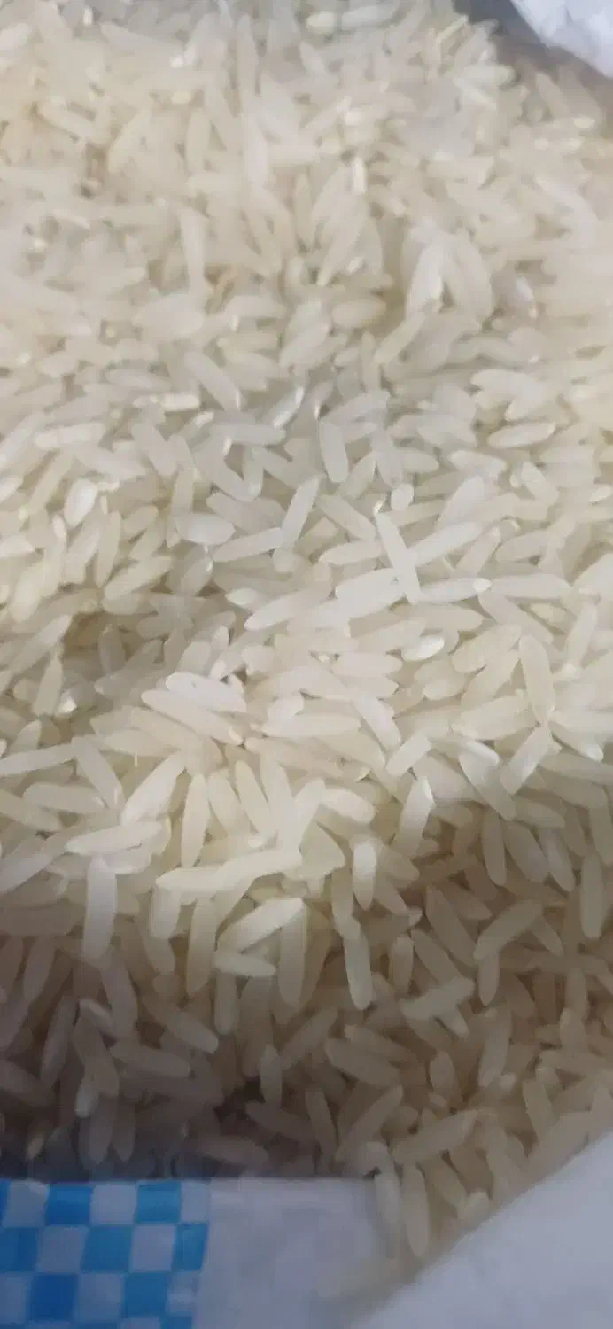 برنج چمپاعنبر بو ۲۵۰  وشمیم ۲۲۰ به شرط پخت|خوردنی و آشامیدنی|نورآباد ممسنی, |دیوار