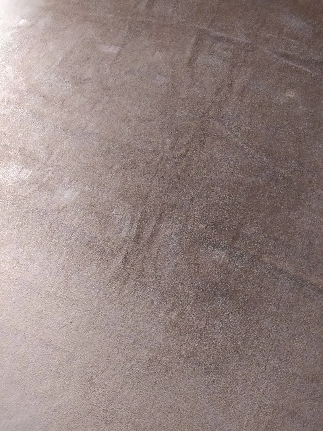 موکت وپرده|موکت|صومعهسرا, |دیوار