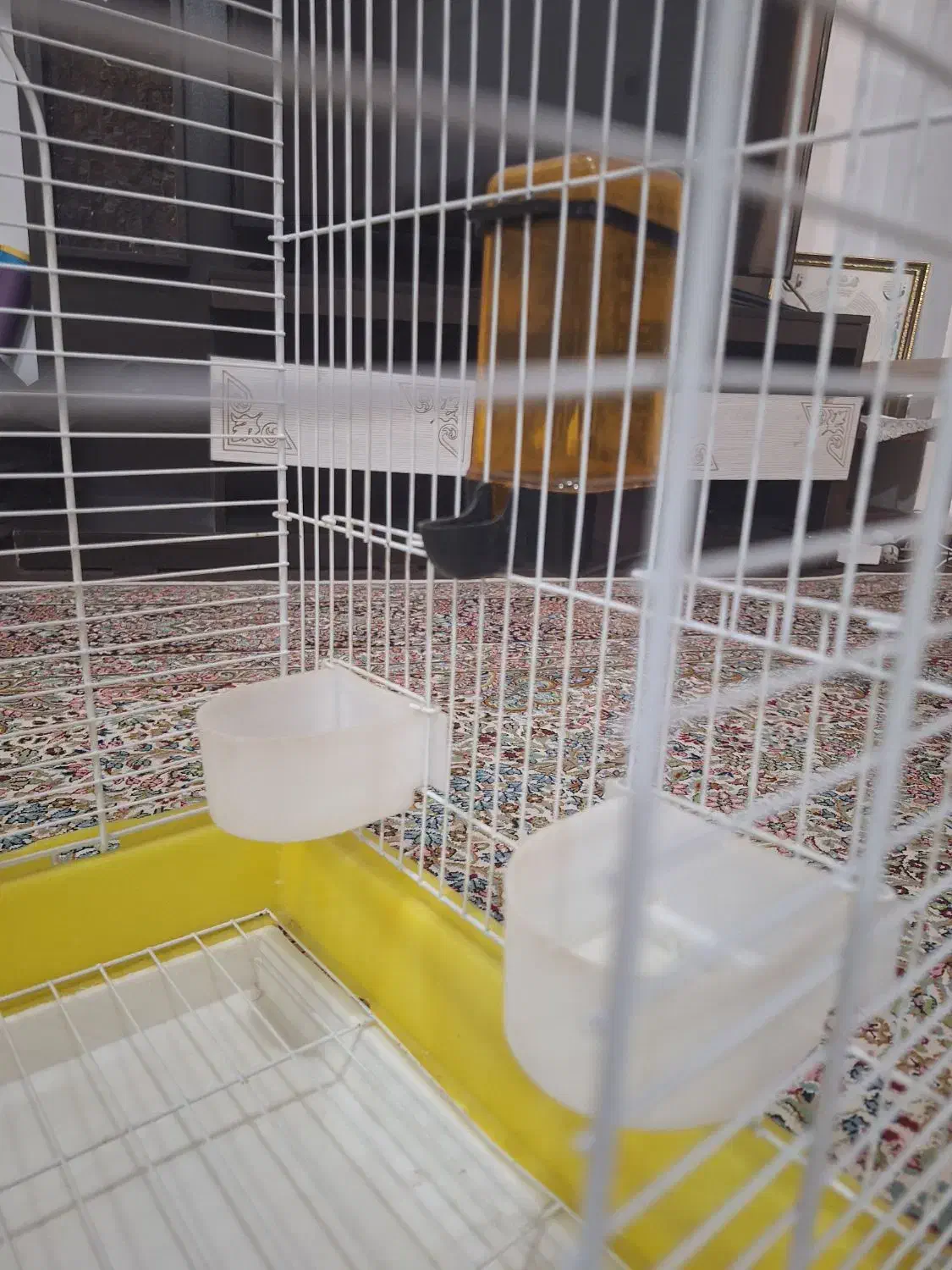 قفس پرنده نو با وسایل|لوازم جانبی حیوانات|جیرفت, |دیوار