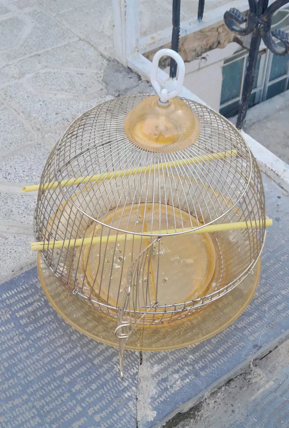 قفس طلایی سالم|لوازم جانبی حیوانات|سنندج, |دیوار