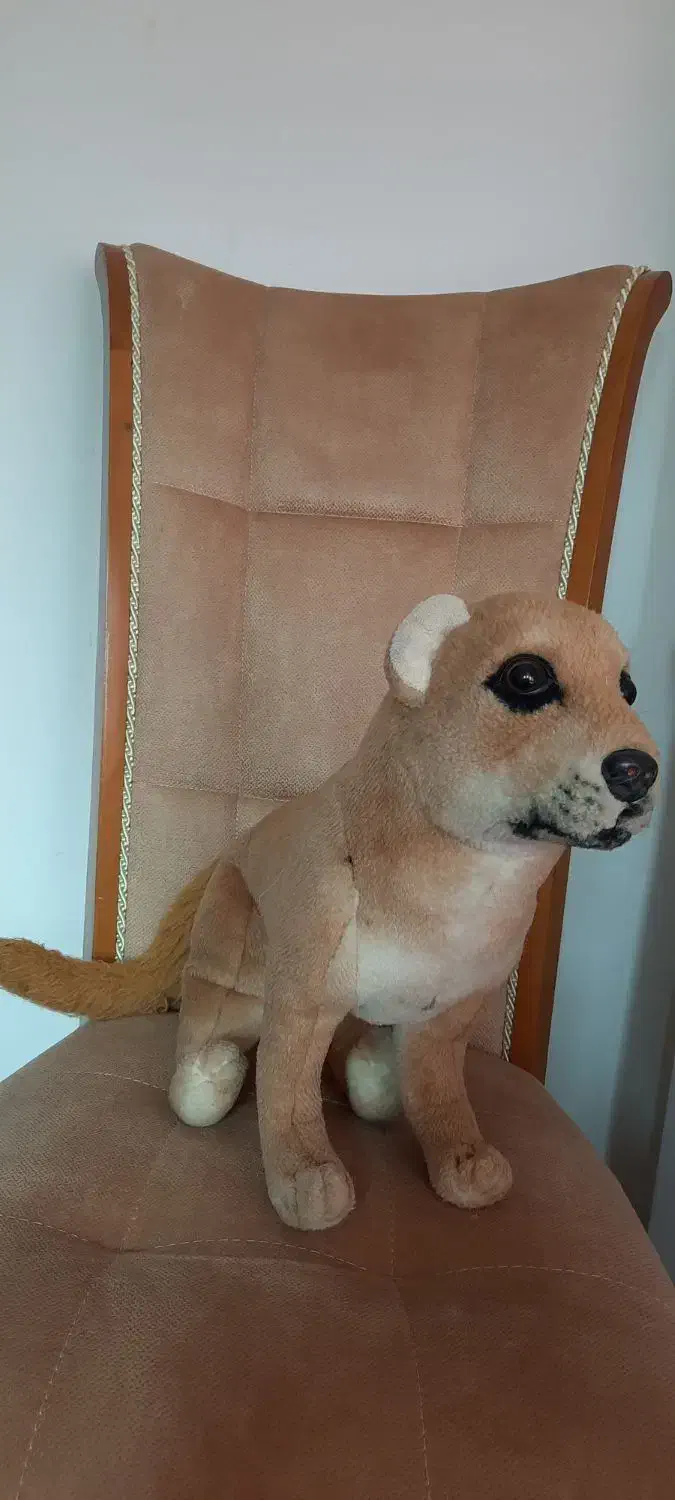 اسباب بازی|اسباببازی|رشت, گلسار|دیوار