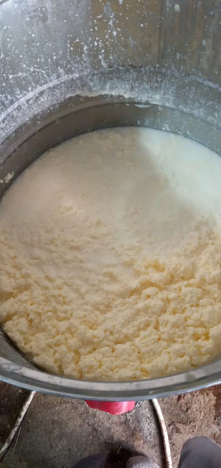 کره نهره|خوردنی و آشامیدنی|تبریز, |دیوار