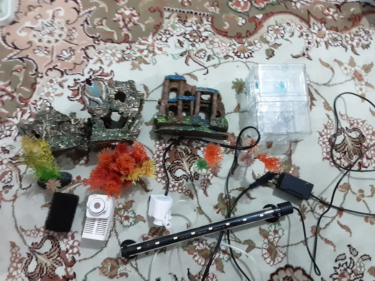 فروش فوری اکواریوم|ماهی|بندرعباس, |دیوار