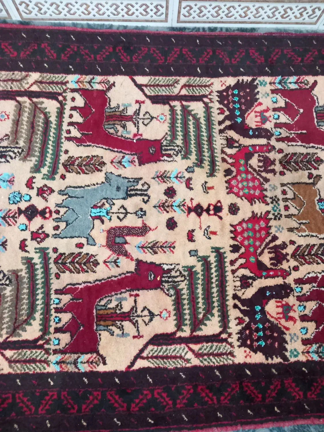 فرش قدیمی دست باف|فرش|تربت‌حیدریه, رجایی|دیوار