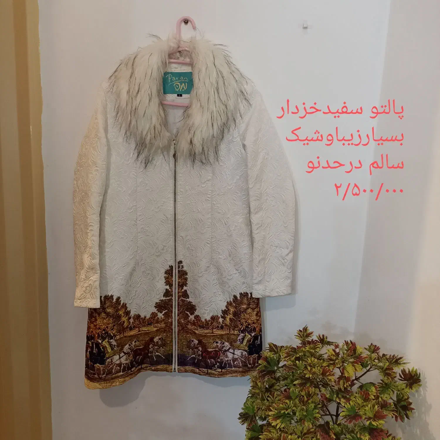 پالتو با طرحی هنری ،سالم درحدنو|لباس|نور, |دیوار