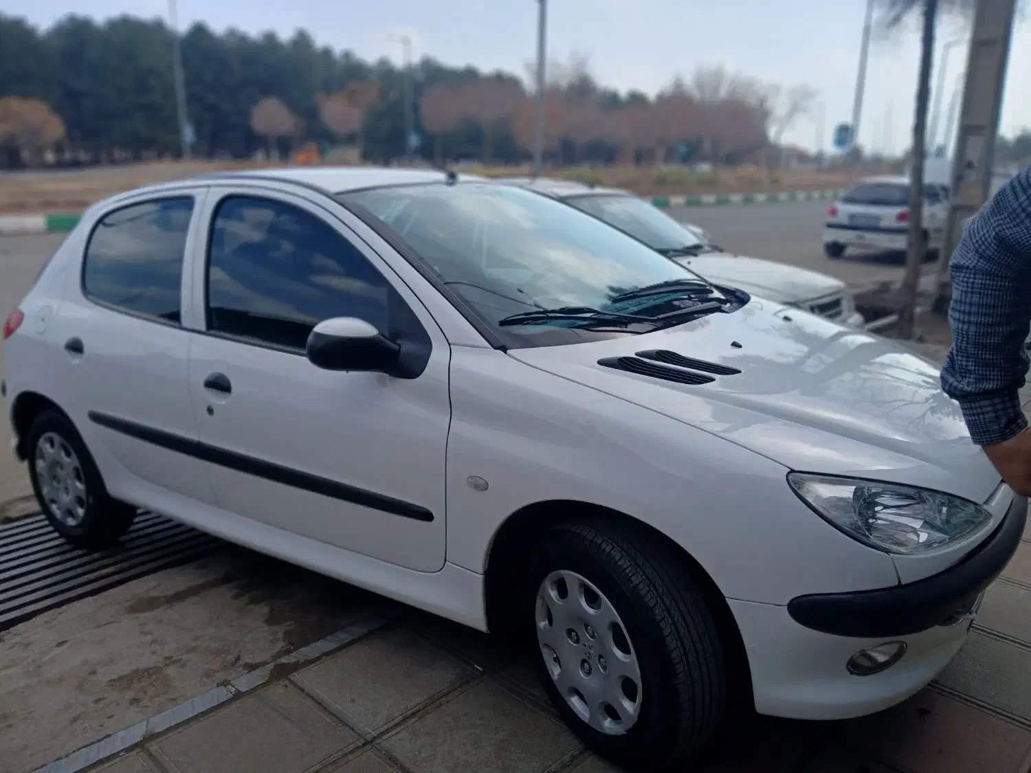 ۲۰۶ تیپ ۵مدل ۹۵|خودرو سواری و وانت|سبزوار, جوادیه غربی|دیوار