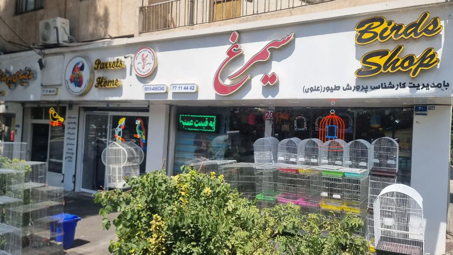 استخدام نیروی کار آقا در مغازه پرنده فروشی|استخدام خدمات فروشگاه و رستوران|تهران, استخر|دیوار