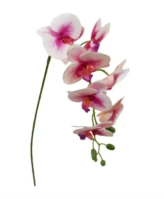 گل ارکیده|گل مصنوعی|بهبهان, |دیوار